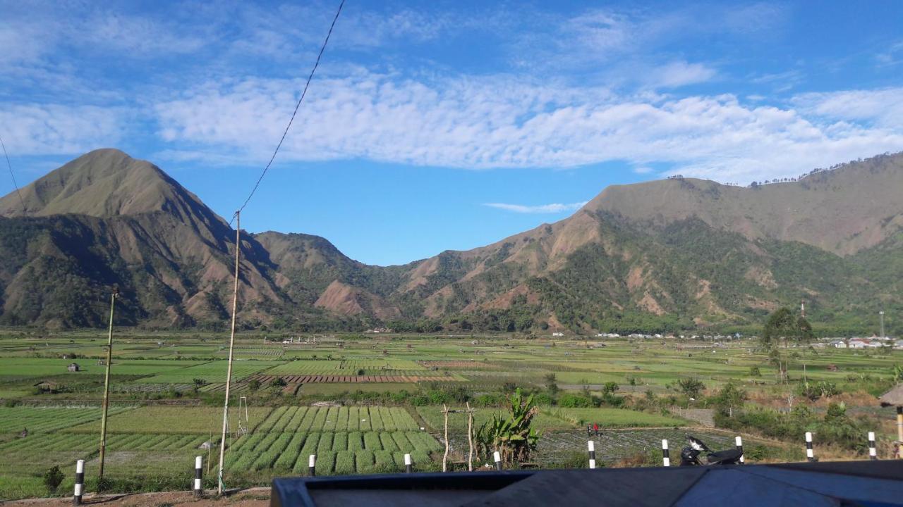 Rinjani Green Park Syariah Hotel Sembalunlawang Luaran gambar